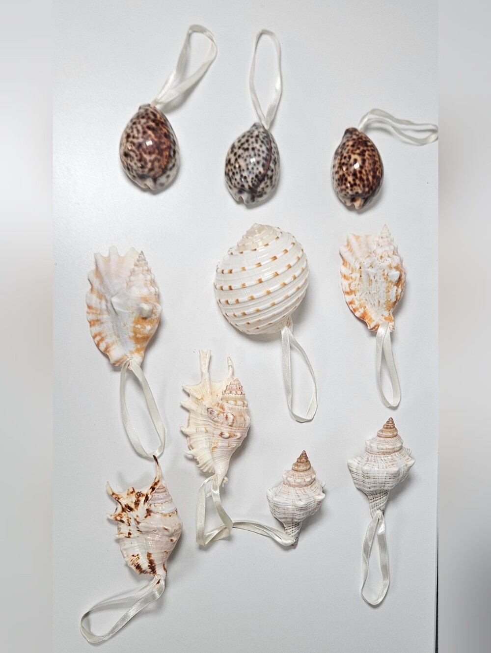 Natural Seashell Christmas Ornaments Coastal Beach Decor Set of 10